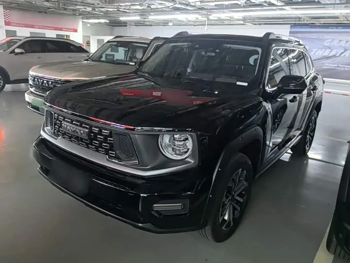 Haval H-Dog 2024 из Китая — купить под ключ