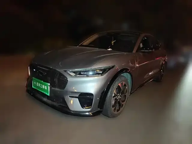 Ford Mustang Mach-E 2022 из Китая — купить под ключ