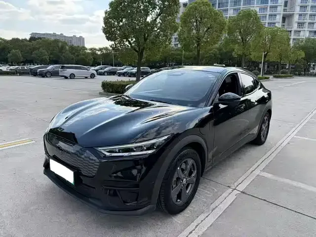 Ford Mustang Mach-E 2022 из Китая — купить под ключ