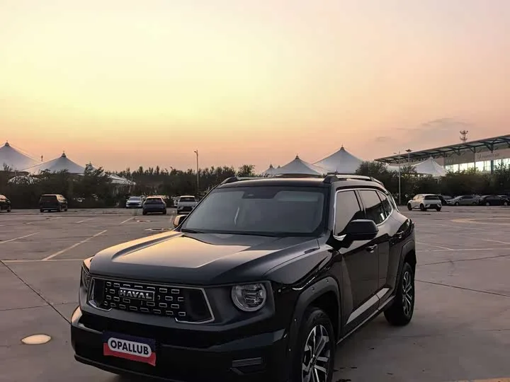 Haval H-Dog 2025 из Китая — купить под ключ