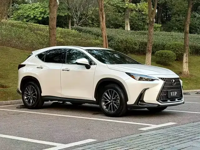 Lexus NX 2023 из Китая — купить под ключ