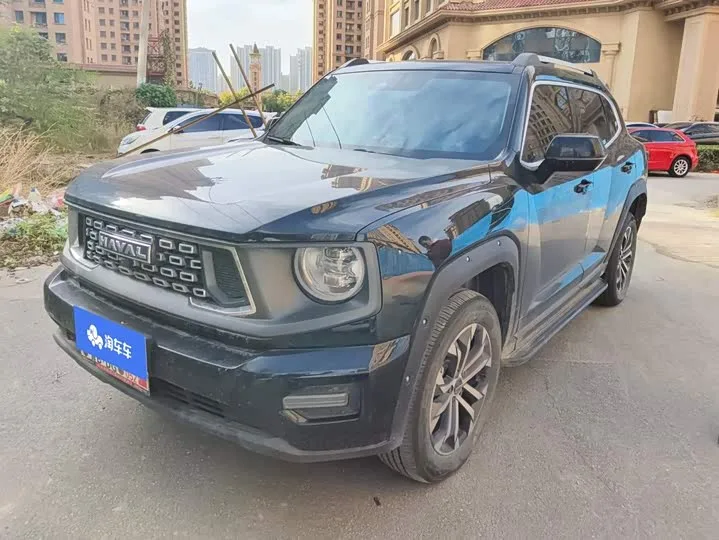 Haval H-Dog 2025 из Китая — купить под ключ