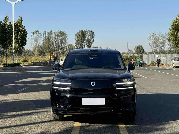Denza N9 2026 из Китая — купить под ключ