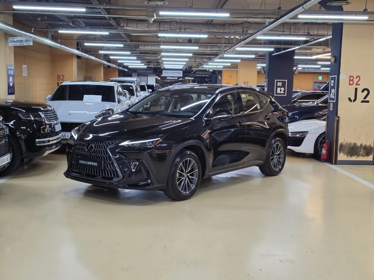 Lexus NX 2025 из Кореи — купить под ключ