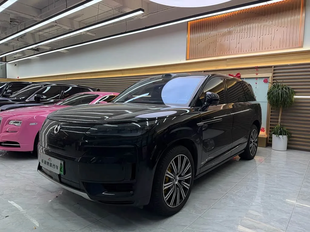 Denza N9 2025 из Китая — купить под ключ