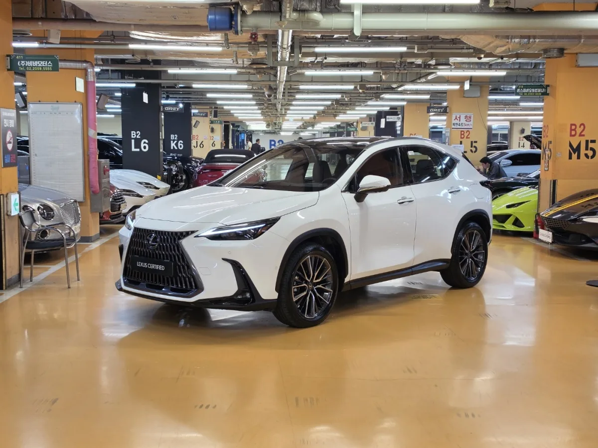 Lexus NX 2026 из Кореи — купить под ключ