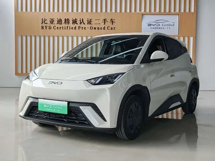BYD Seagull 2024 из Китая — купить под ключ