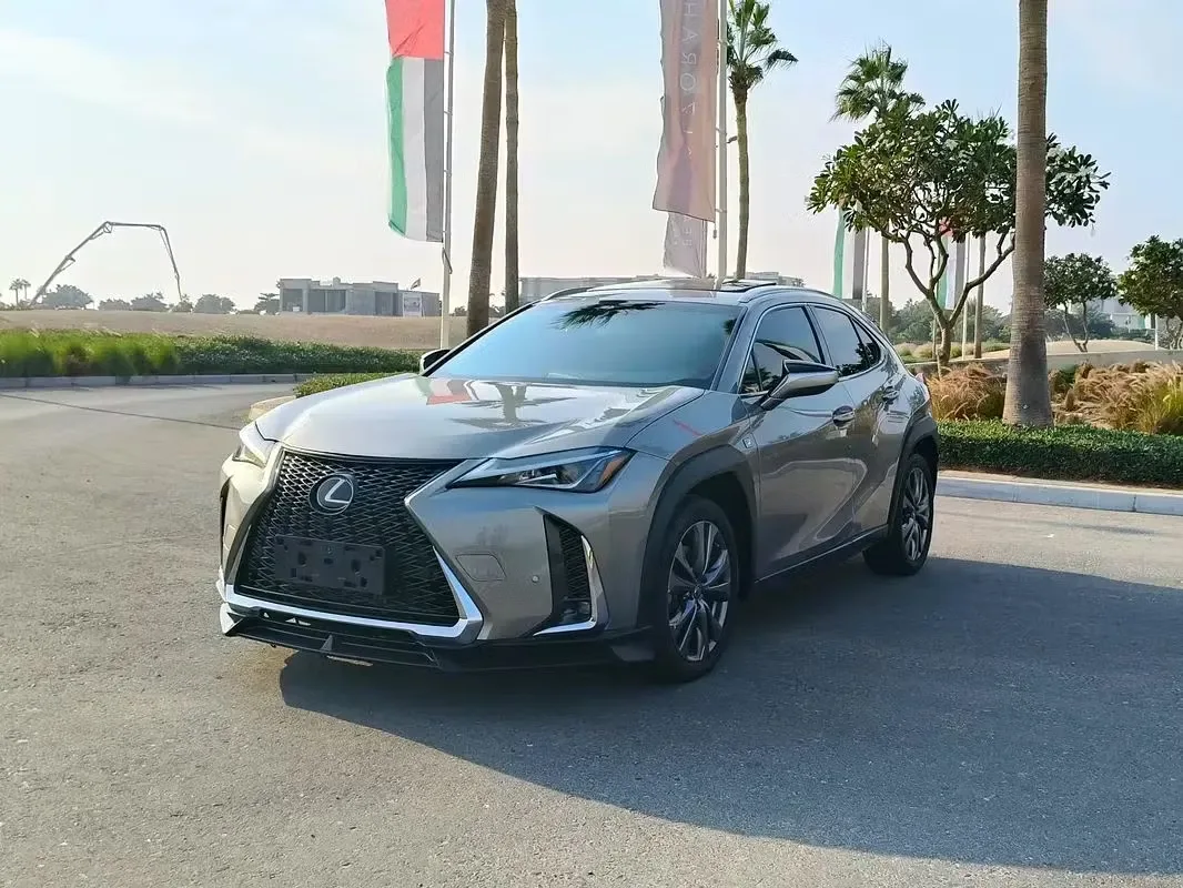 Lexus UX 2020 из ОАЭ — купить под ключ