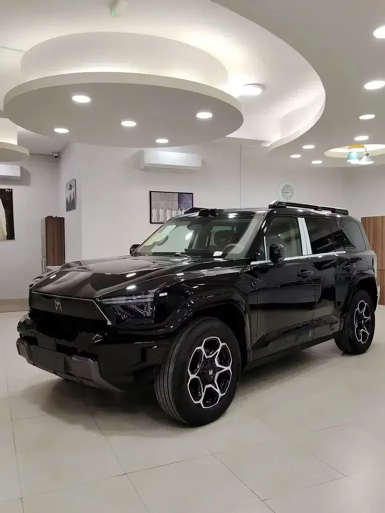 Dongfeng Mengshi M-Hero 817 2025 из ОАЭ — купить под ключ