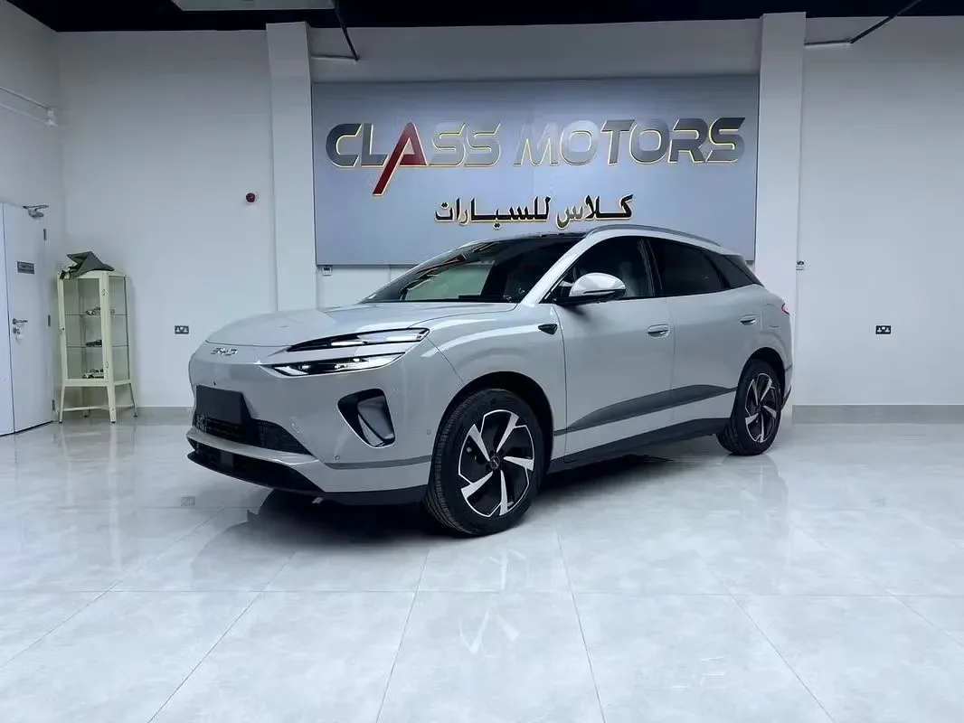 BYD Sea Lion 06 2025 из ОАЭ — купить под ключ