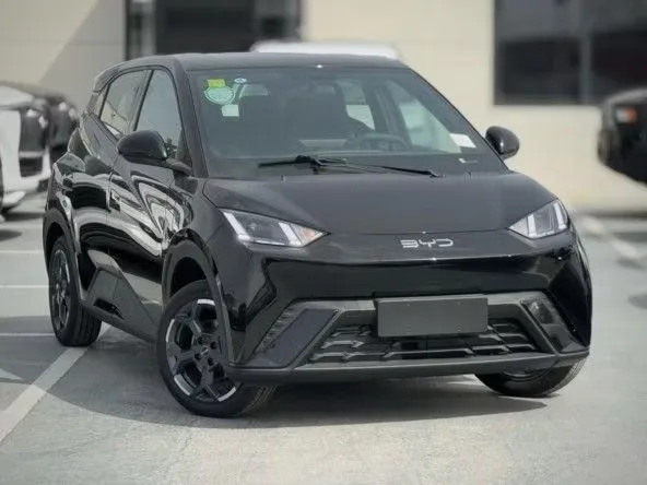 BYD Seagull (Libird 2) 2024 из ОАЭ — купить под ключ