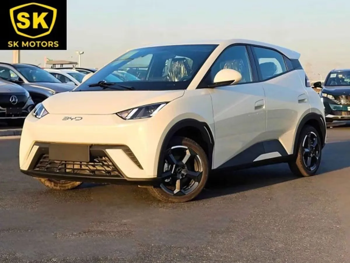 BYD Seagull (Libird 2) 2025 из ОАЭ — купить под ключ