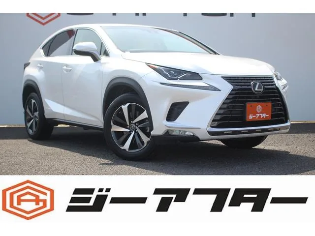 Lexus NX 2018 из Японии — купить под ключ