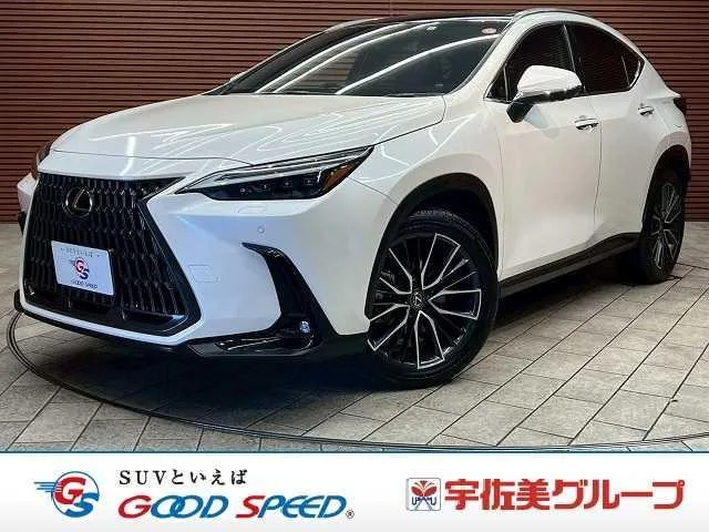 Lexus NX 2023 из Японии — купить под ключ