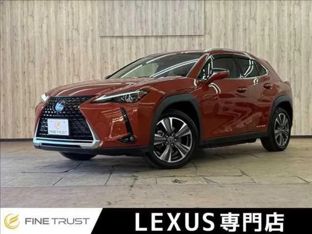 Lexus UX 2021 из Японии — купить под ключ