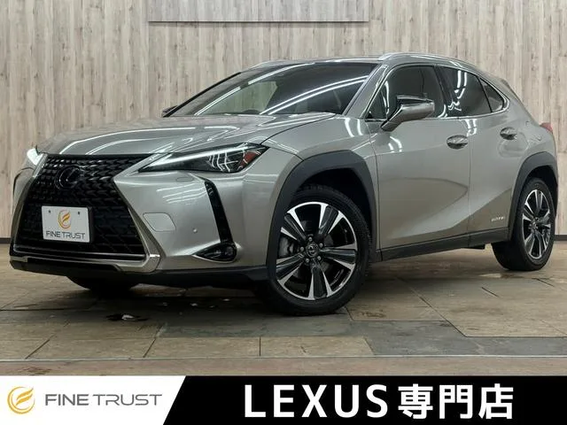 Lexus UX 2021 из Японии — купить под ключ