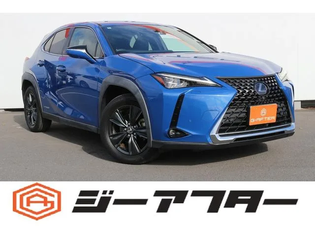 Lexus UX 2020 из Японии — купить под ключ