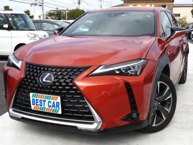 Lexus UX 2019 из Японии — купить под ключ