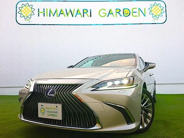 Lexus ES 2020 из Японии — купить под ключ