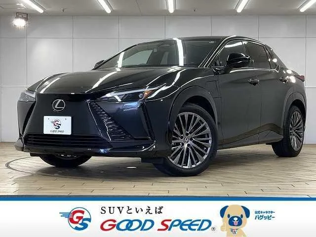 Lexus RZ 2023 из Японии — купить под ключ