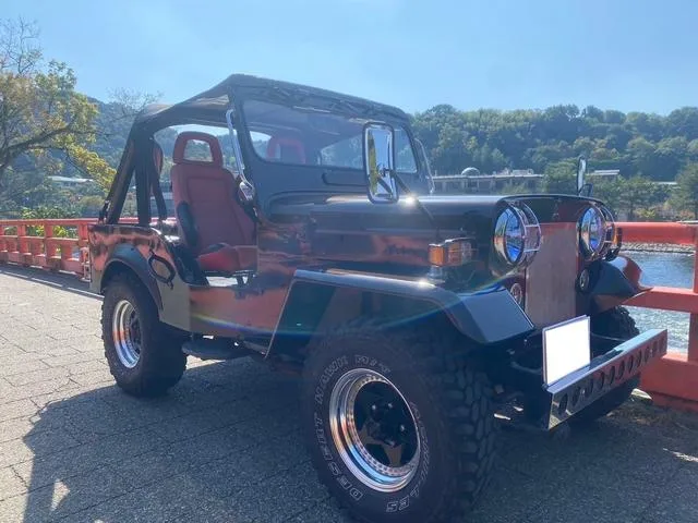 Mitsubishi JEEP 1981 из Японии — купить под ключ
