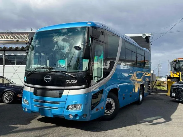 HINO SELEGA 2006 из Японии — купить под ключ