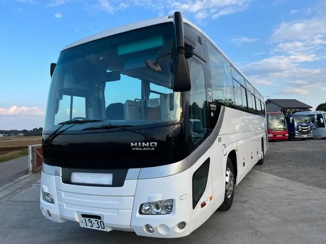 HINO SELEGA 2007 из Японии — купить под ключ