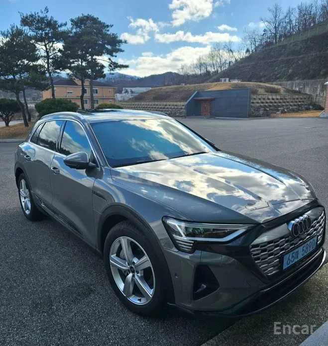 Audi Q8 e-tron 2024 из Кореи — купить под ключ