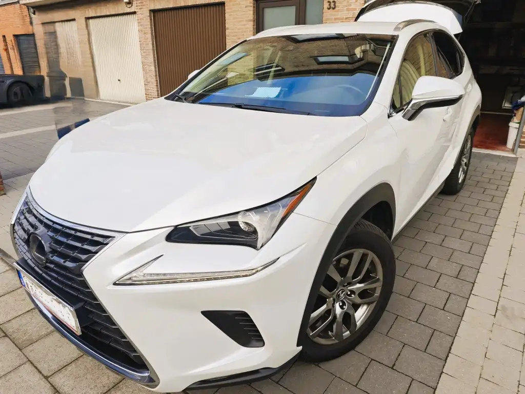 Lexus NX 300h 2019 из Европы — купить под ключ