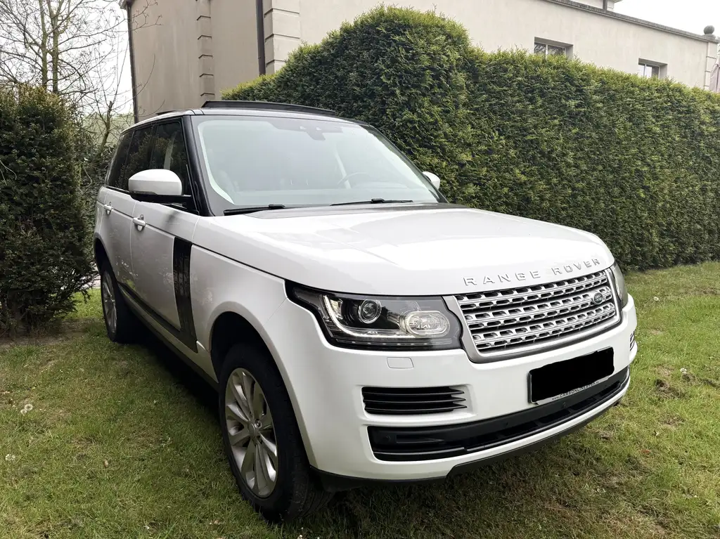 Land Rover Range Rover 2020 из Европы — купить под ключ