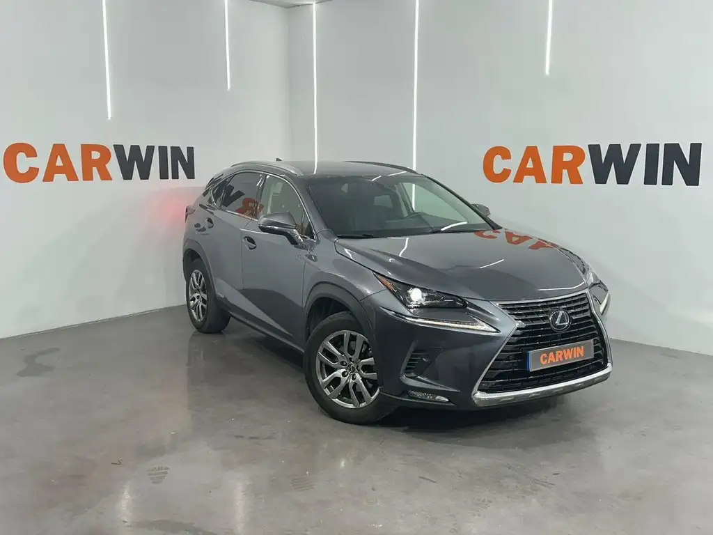 Lexus NX 300 2019 из Европы — купить под ключ