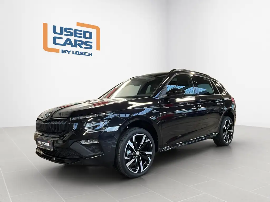Skoda Kamiq 2024 из Европы — купить под ключ