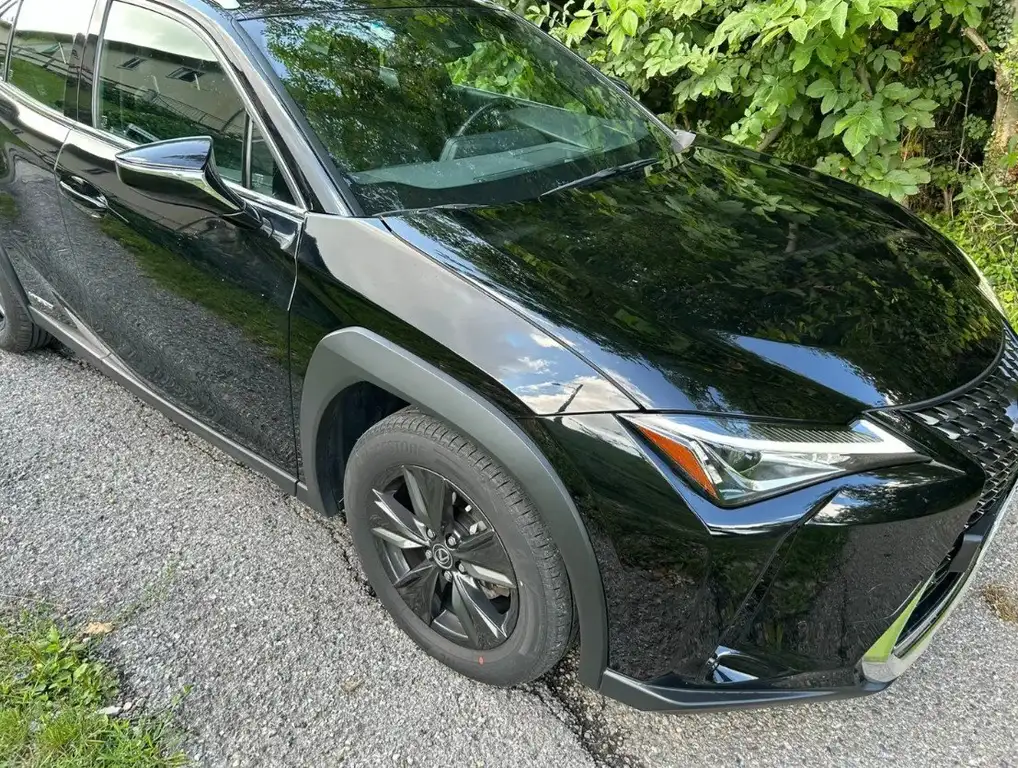 Lexus UX 250h 2020 из Европы — купить под ключ