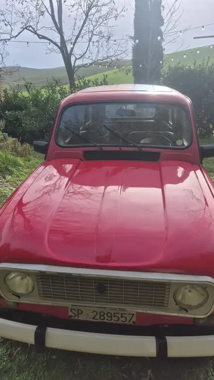 Renault R 4 1990 из Европы — купить под ключ