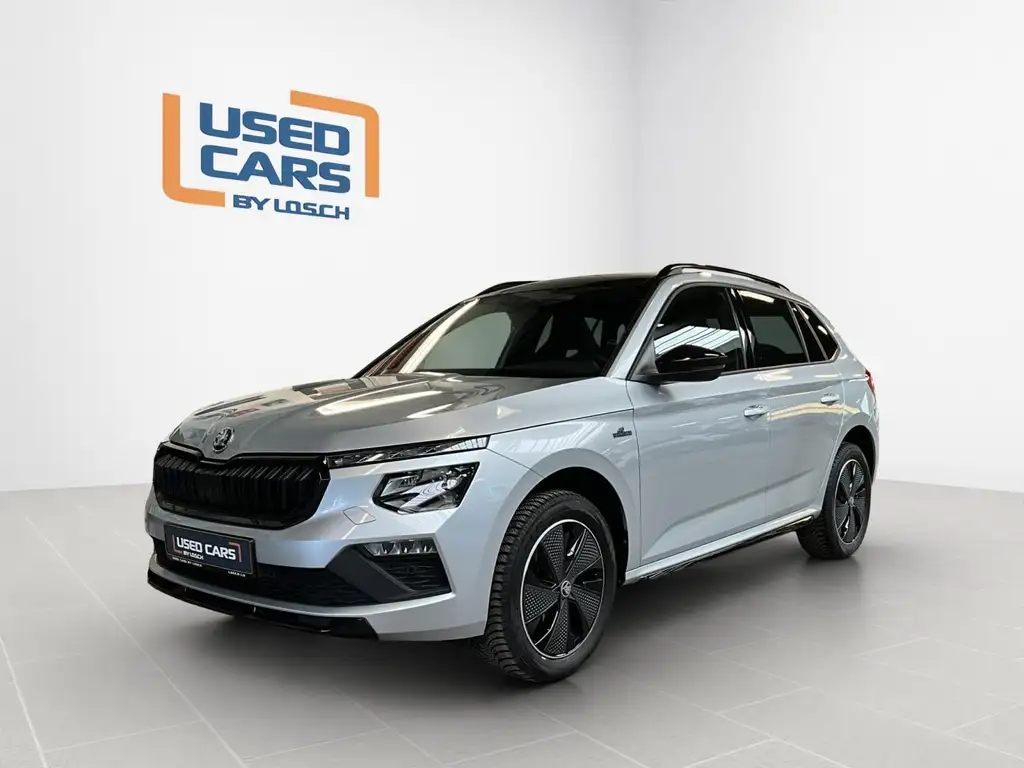 Skoda Kamiq 2025 из Европы — купить под ключ