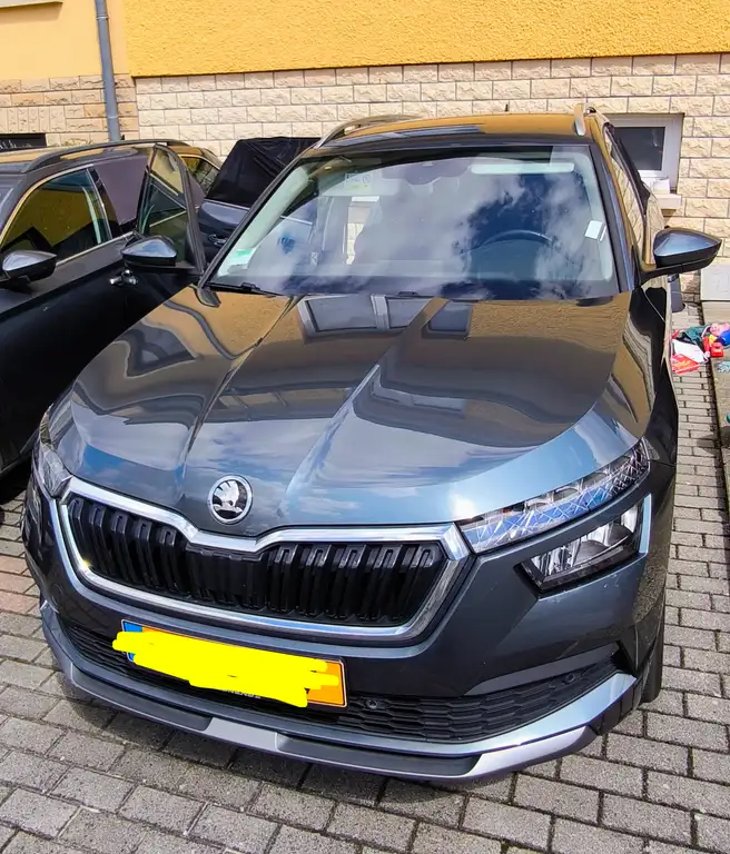 Skoda Kamiq 2020 из Европы — купить под ключ
