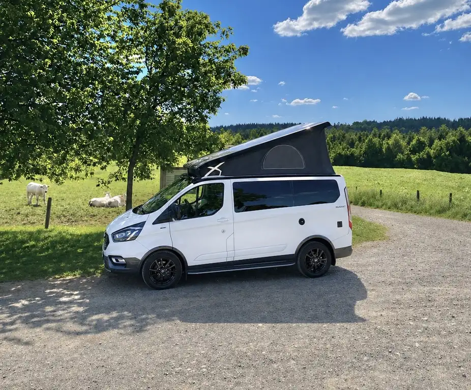 Ford Nugget 2023 из Европы — купить под ключ