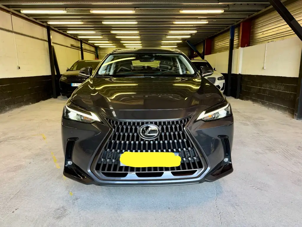 Lexus NX 350h 2023 из Европы — купить под ключ