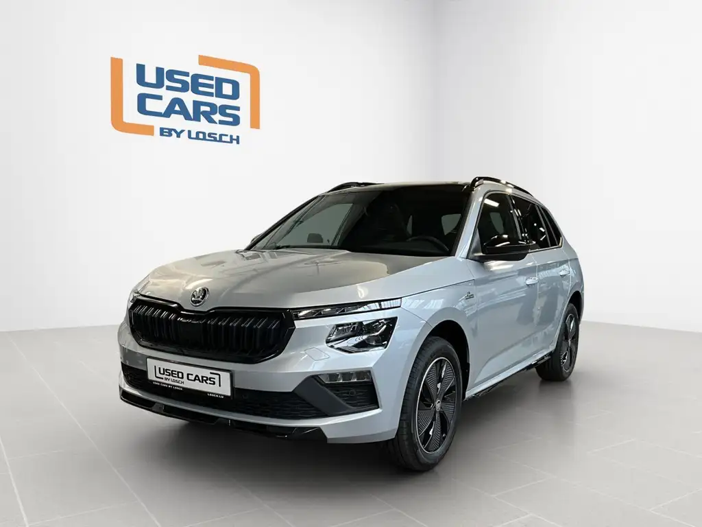 Skoda Kamiq 2025 из Европы — купить под ключ
