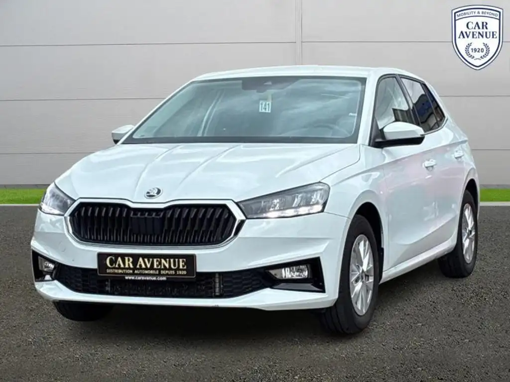 Skoda Fabia 2025 из Европы — купить под ключ