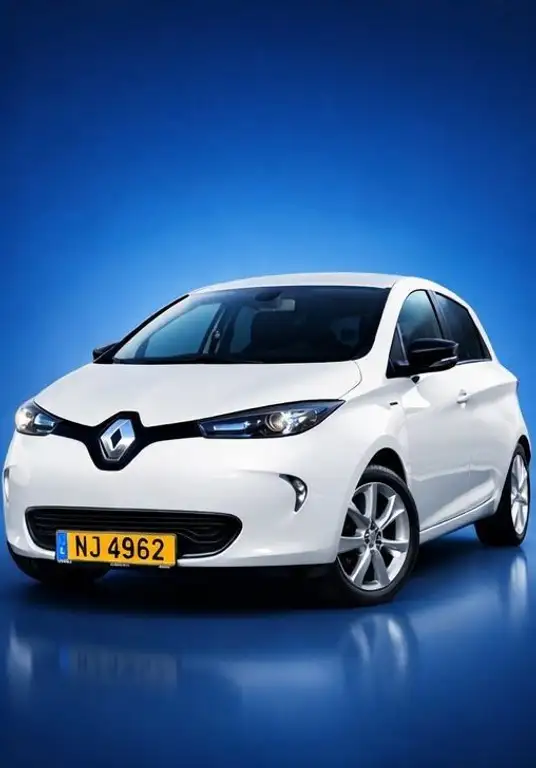 Renault ZOE 2019 из Европы — купить под ключ