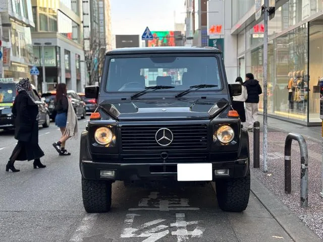 Mercedes-Benz GELANDEWAGEN 1993 из Японии — купить под ключ