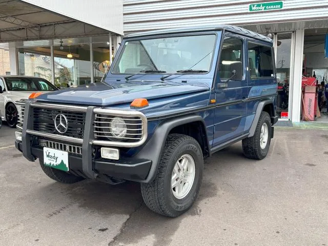 Mercedes-Benz GELANDEWAGEN 1990 из Японии — купить под ключ