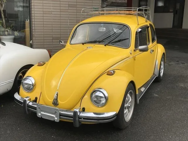 Volkswagen BEETLE 1996 из Японии — купить под ключ