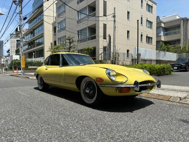 Jaguar JAGUAR OTHER 1988 из Японии — купить под ключ
