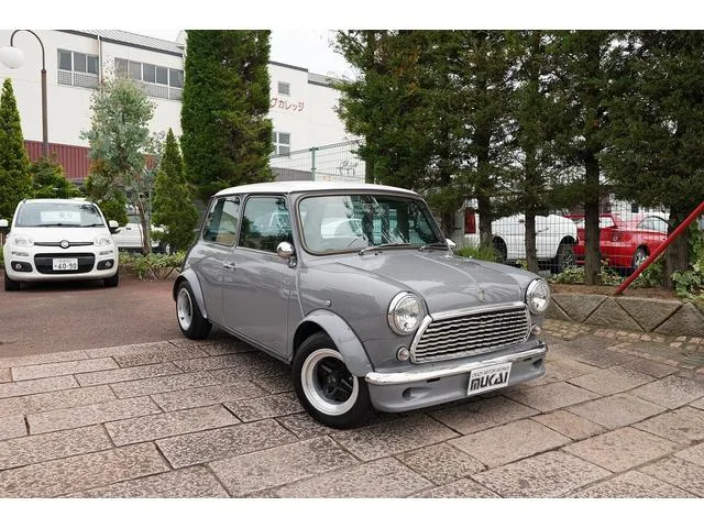 Rover MINI 1989 из Японии — купить под ключ