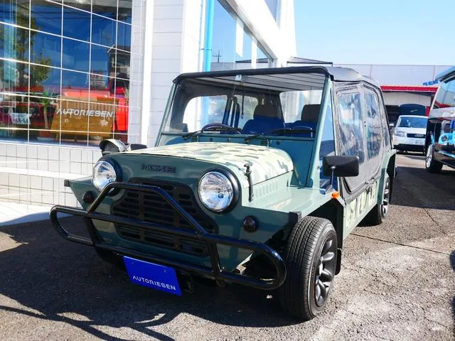 Moke MINI MOKE 1992 из Японии — купить под ключ