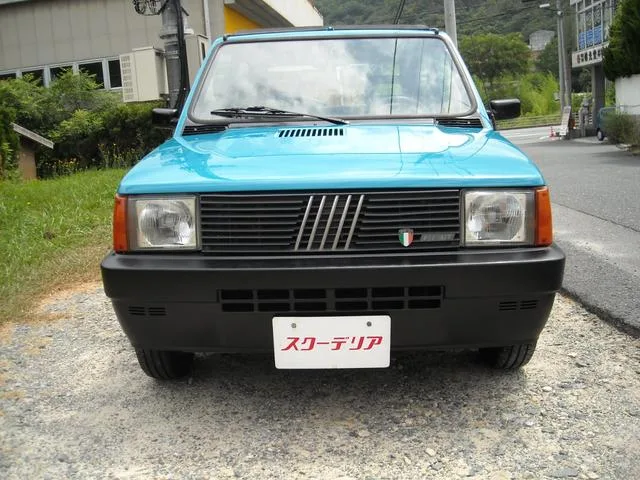Fiat PANDA 1994 из Японии — купить под ключ