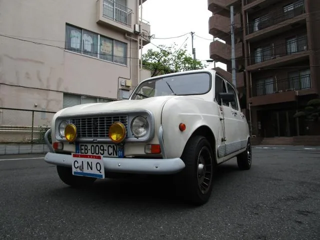Renault 4 1991 из Японии — купить под ключ