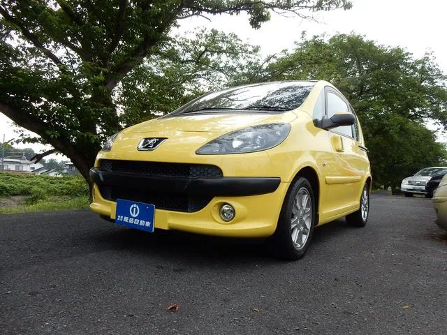 Peugeot 1007 2006 из Японии — купить под ключ